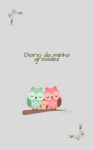Diario da Minha Gravidez